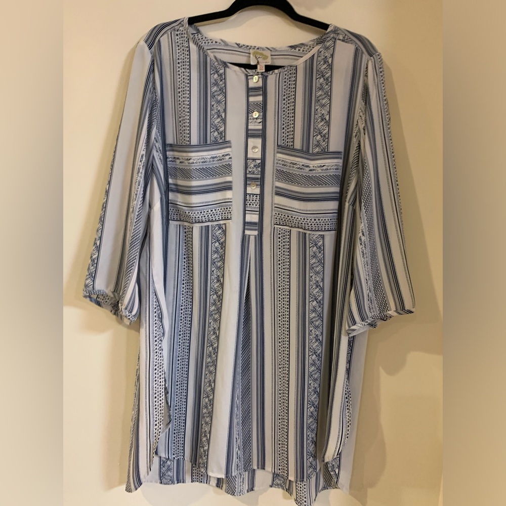 fig and flower Navy White tunic 2x